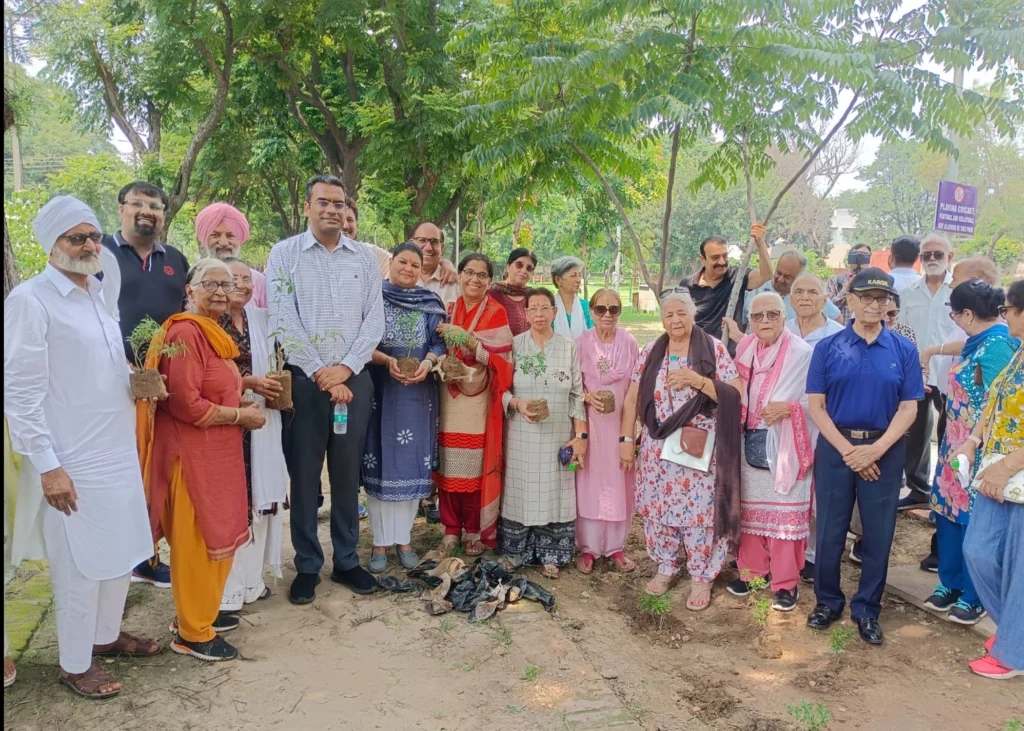 Tree Plantation Chandigarh 1 Darpan Chandigarh Tree Plantation Chandigarh