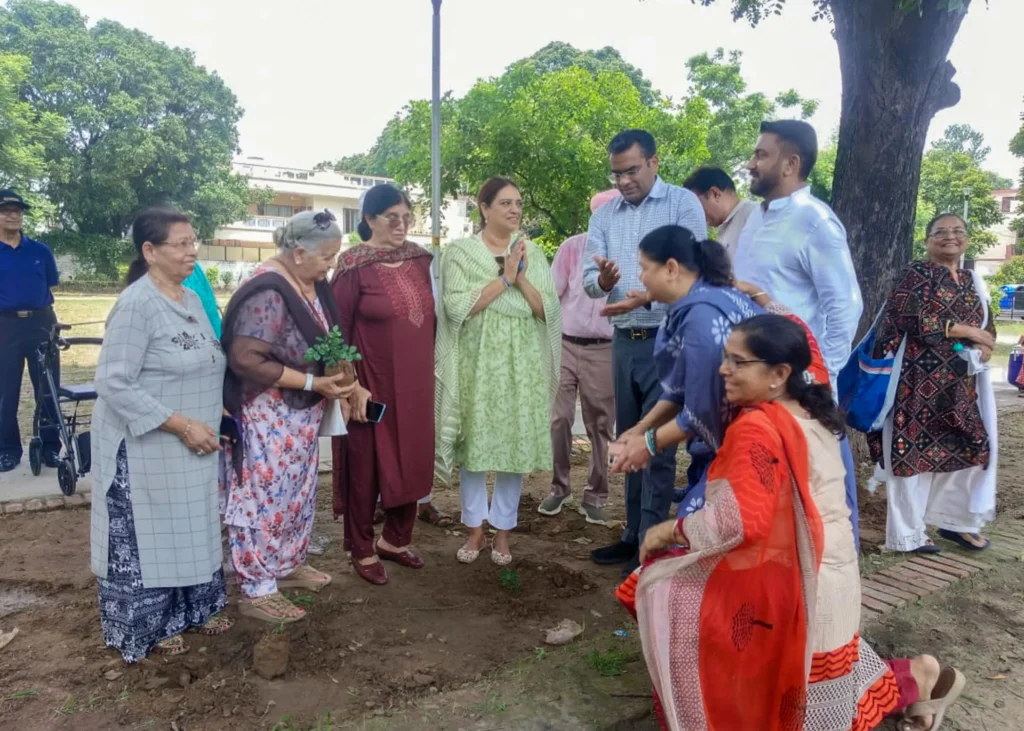 Tree Plantation Chandigarh Darpan Chandigarh Tree Plantation Chandigarh