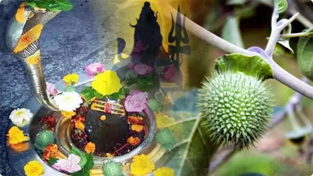 Lord Shiva Symbolizes Power of Environmental Protection: Prabhunath Shahi
