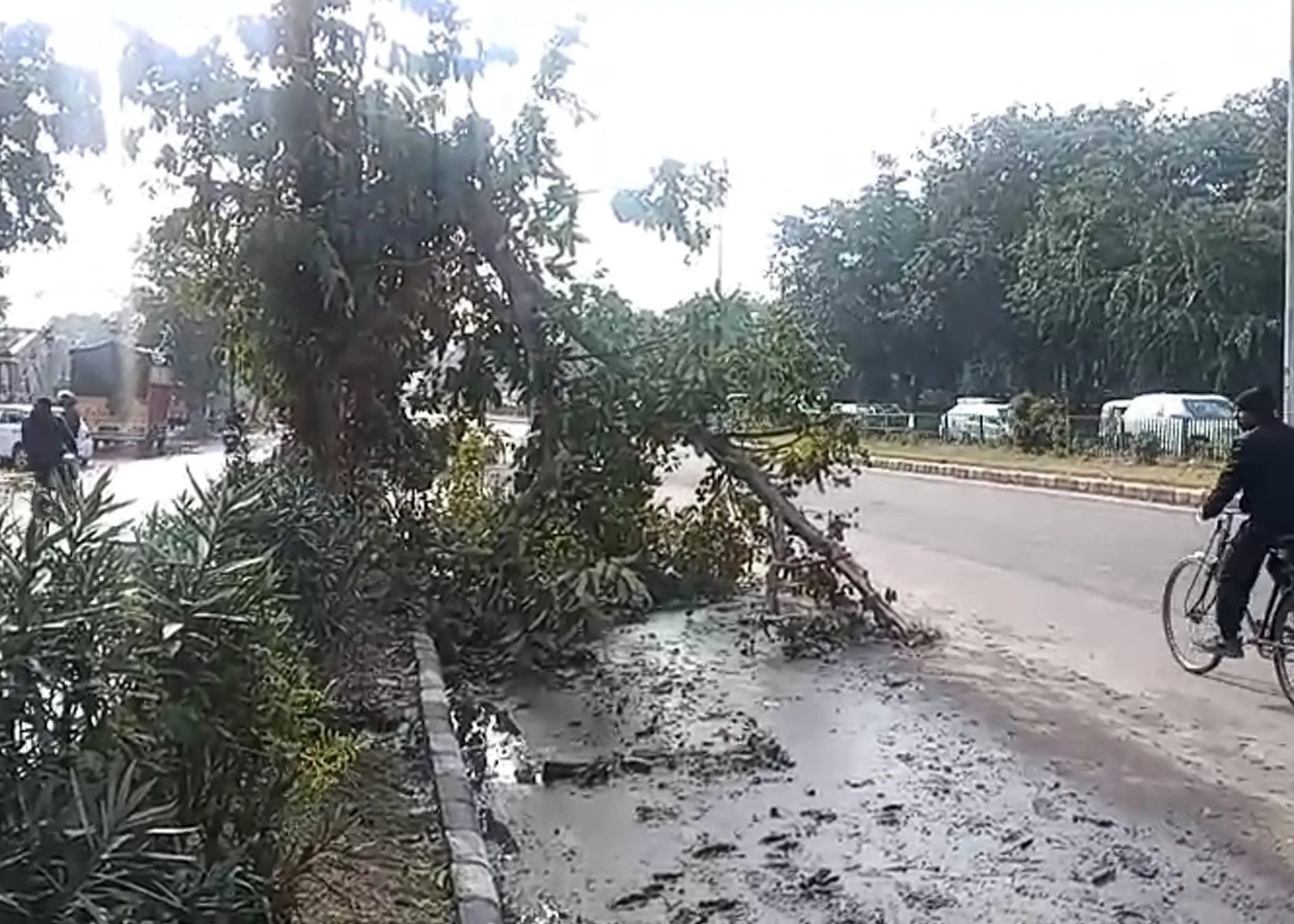 Chandigarh storm preparedness